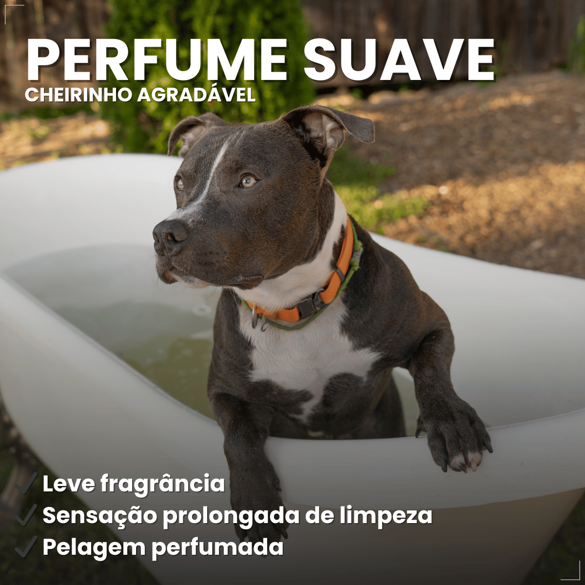 Condicionador Matacura Sarnicida Cães 200ml