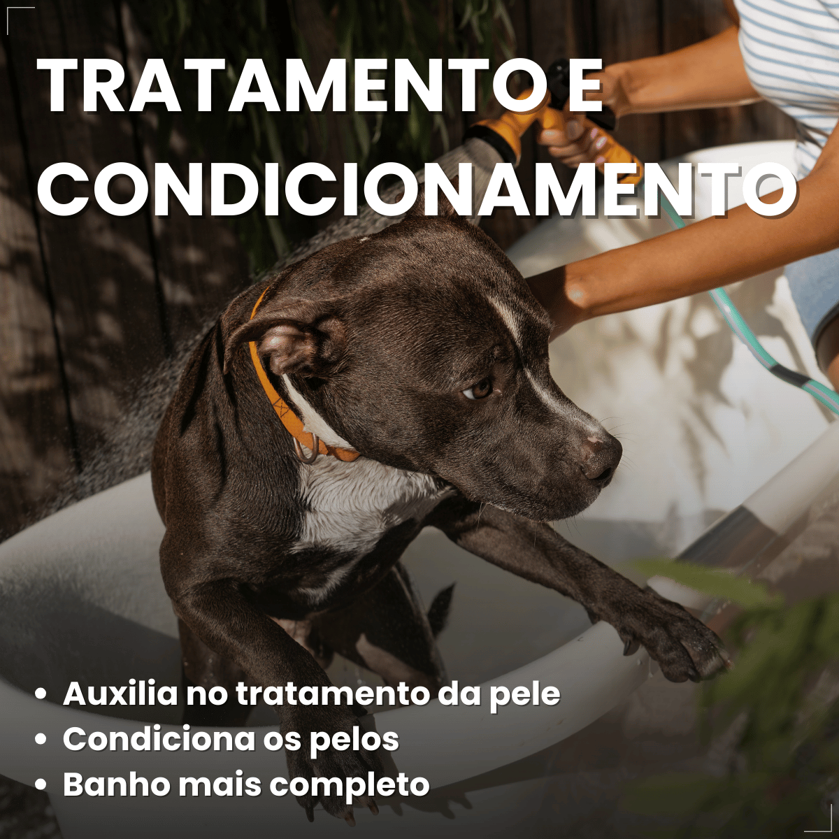 Condicionador Matacura Sarnicida Cães 200ml