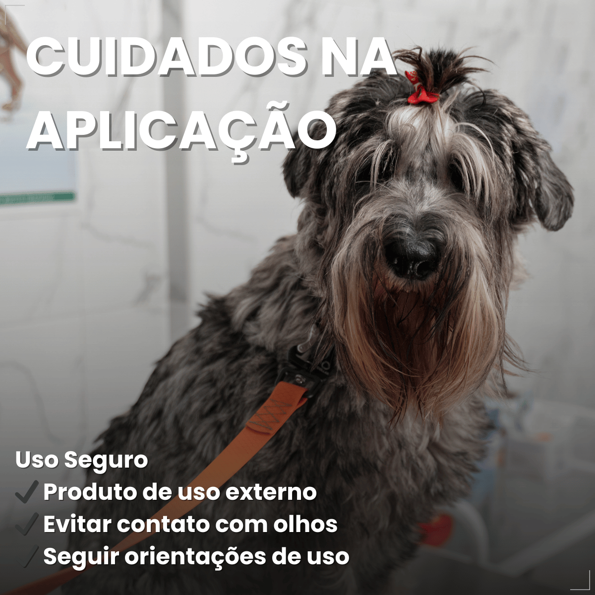 Condicionador Matacura Sarnicida Cães 200ml