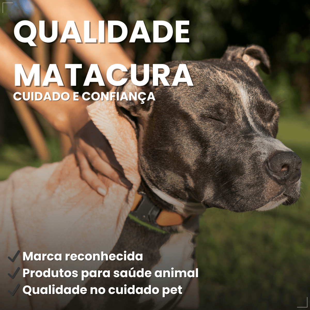 Condicionador Matacura Sarnicida Cães 200ml