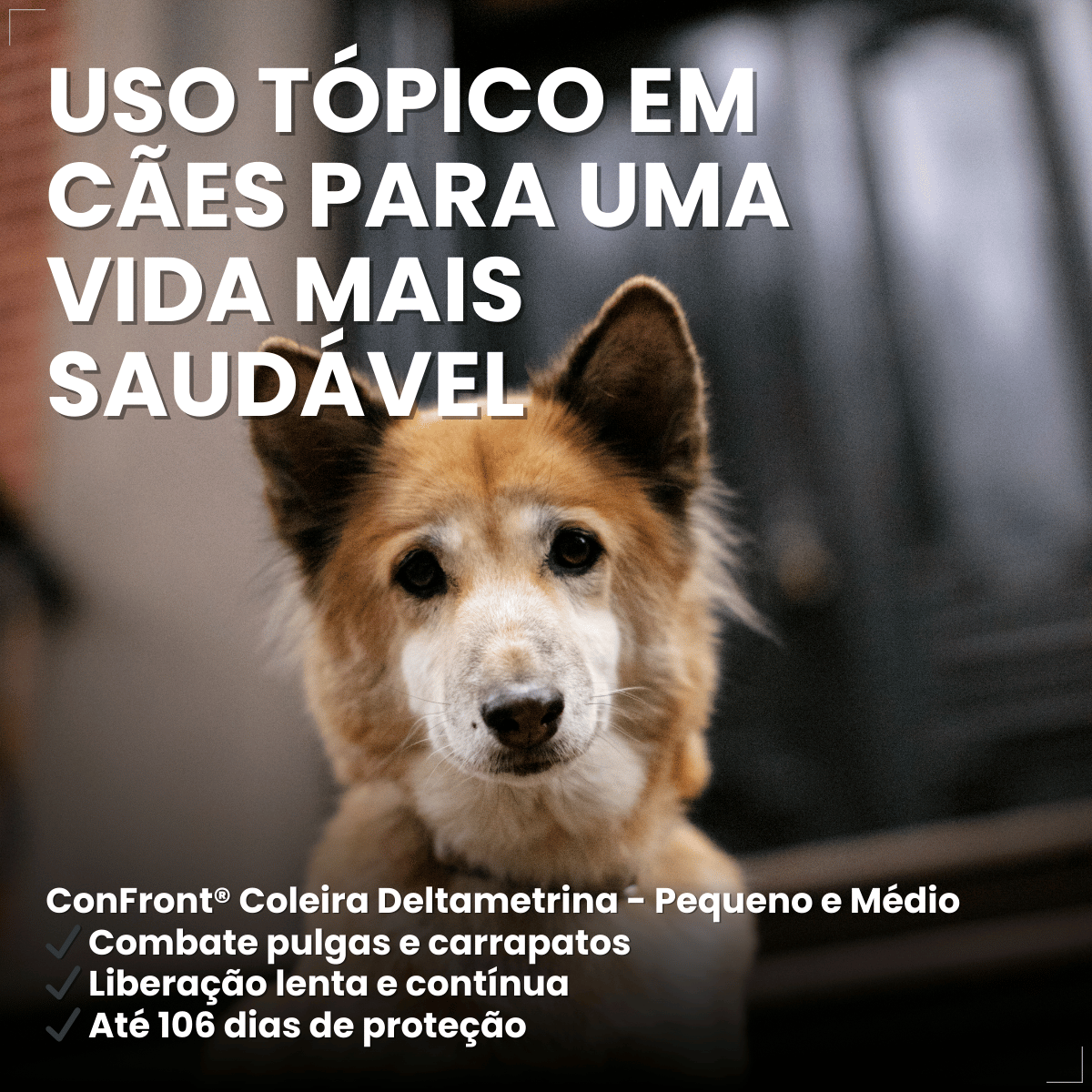 Coleira ConFront Antiparasitas para Cães Pequenos e Médio