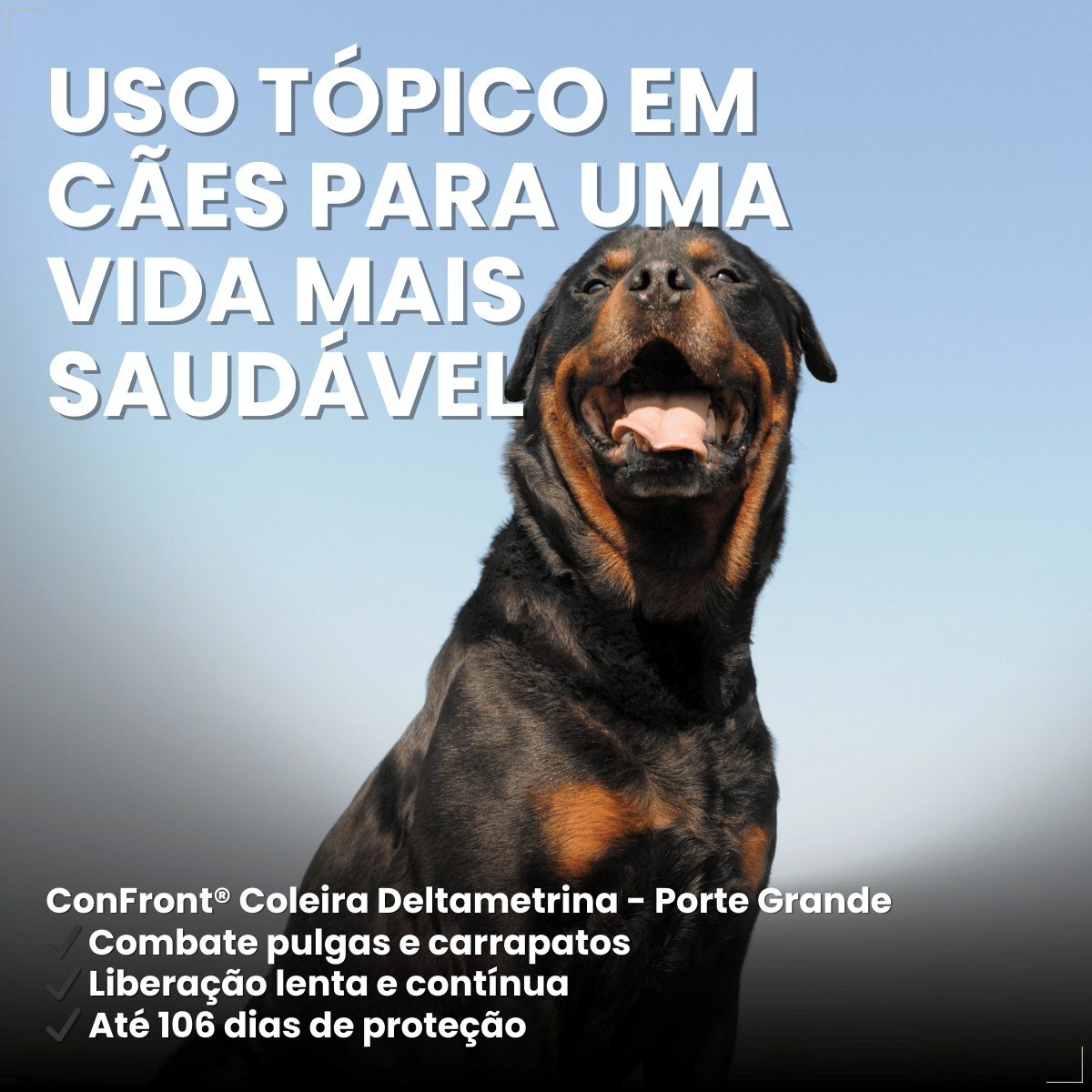 Coleira ConFront Antiparasitas para Cães Grandes