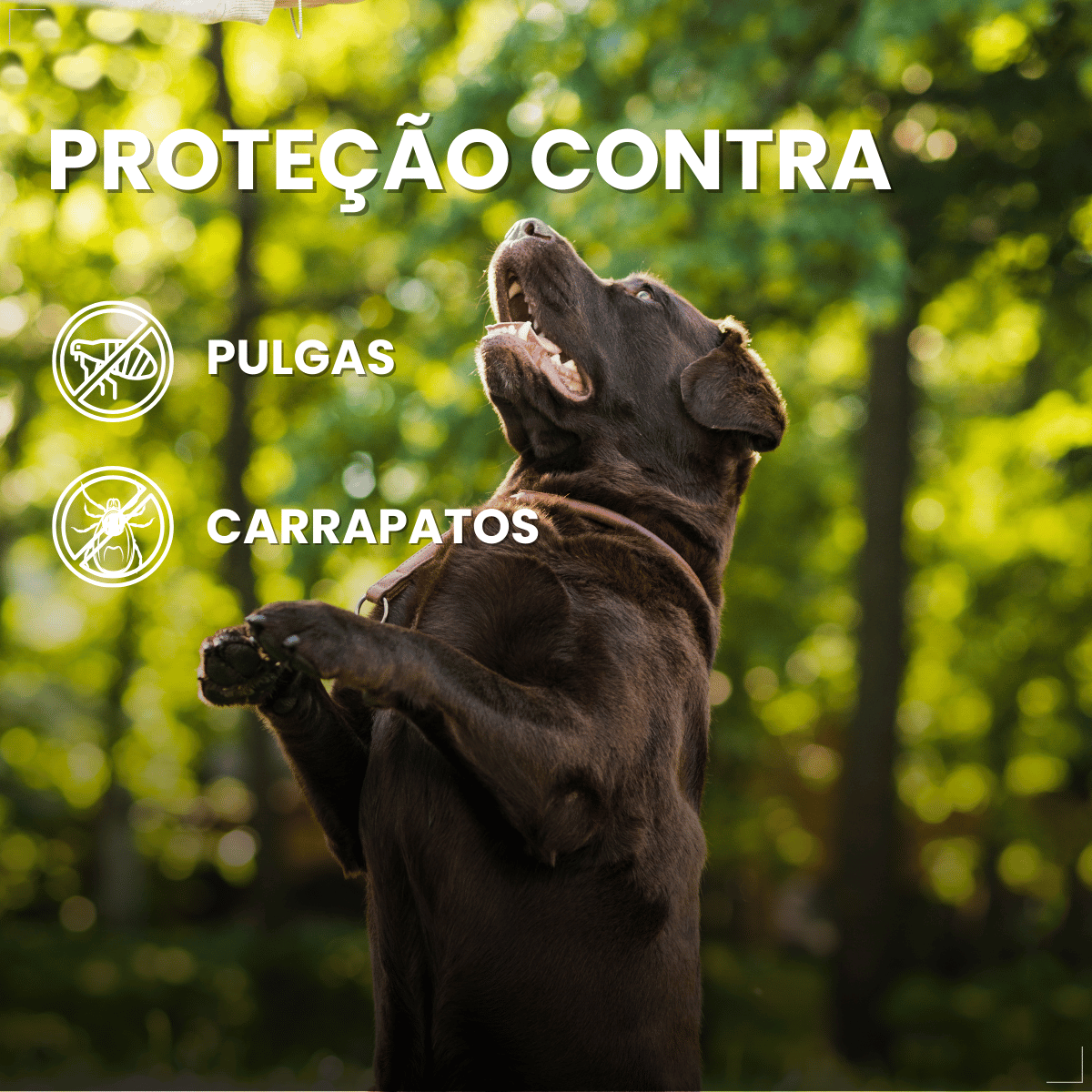 Coleira ConFront Antiparasitas para Cães Grandes