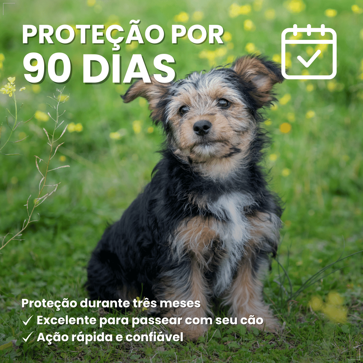 Coleira ConFront Antiparasitas para Cães Pequenos e Médio