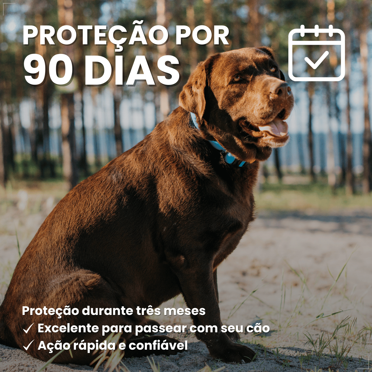 Coleira ConFront Antiparasitas para Cães Grandes
