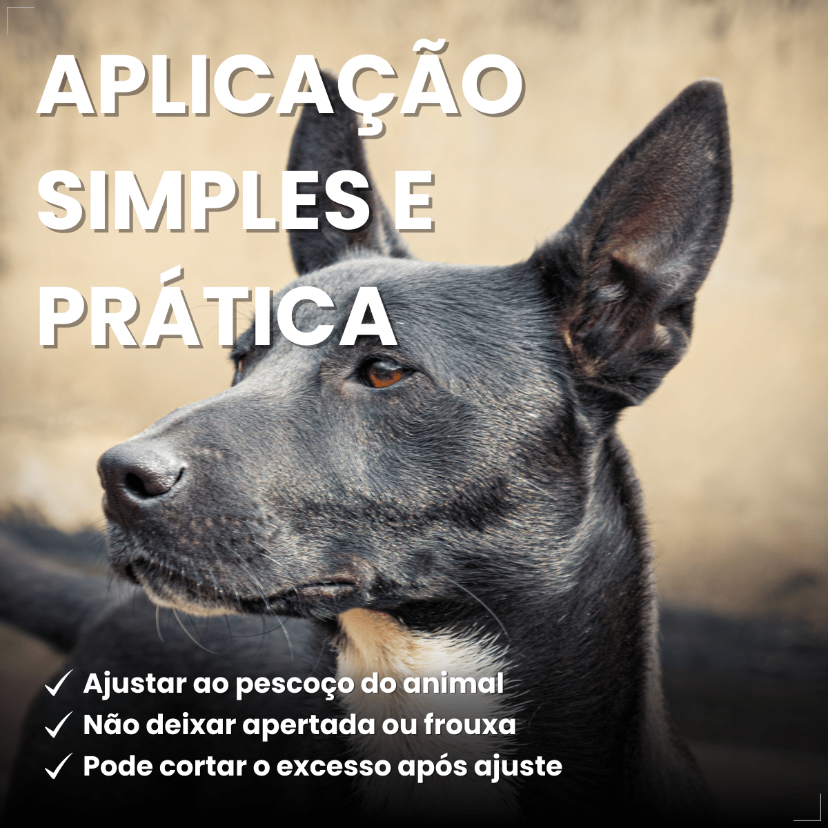 Coleira ConFront Antiparasitas para Cães Pequenos e Médio