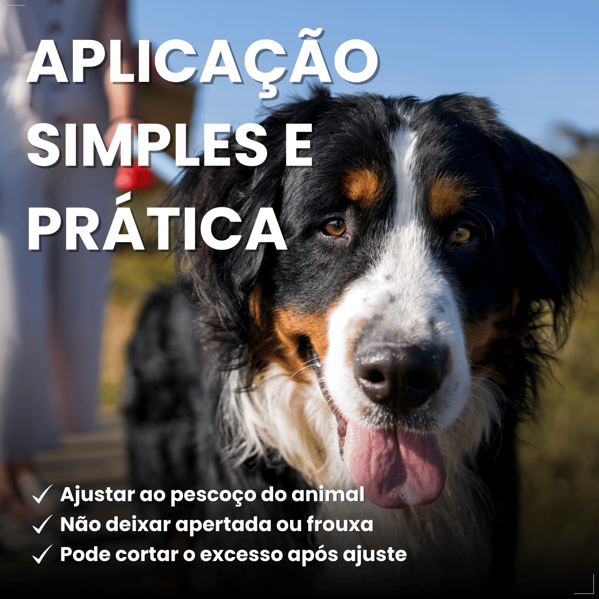 Coleira ConFront Antiparasitas para Cães Grandes