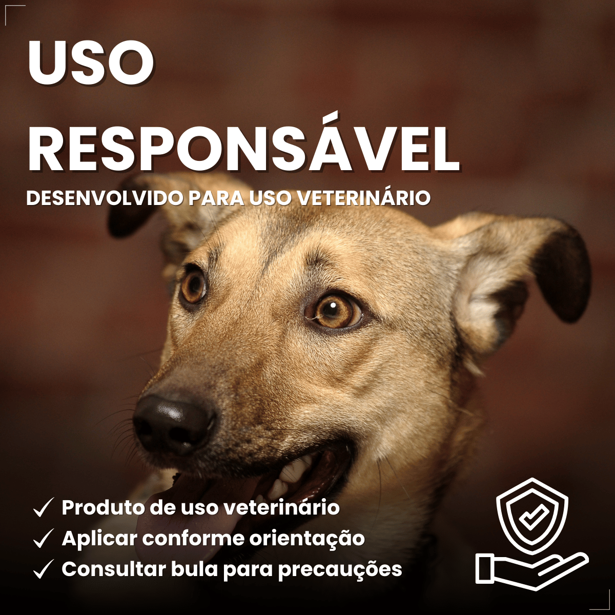 Coleira ConFront Antiparasitas para Cães Pequenos e Médio