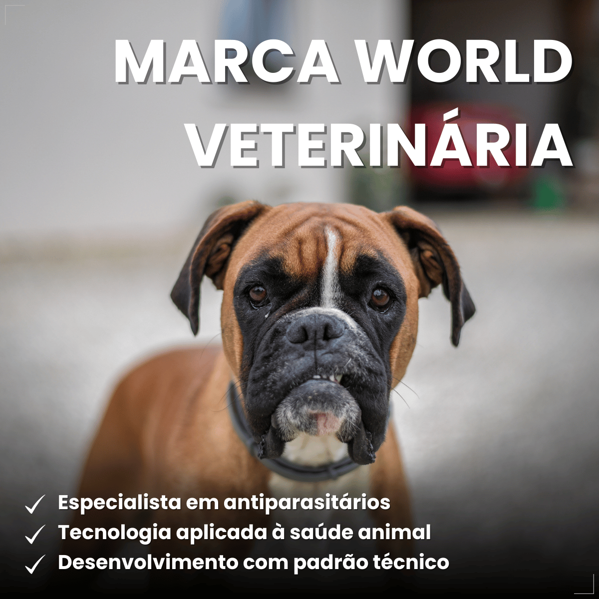 Coleira ConFront Antiparasitas para Cães Pequenos e Médio