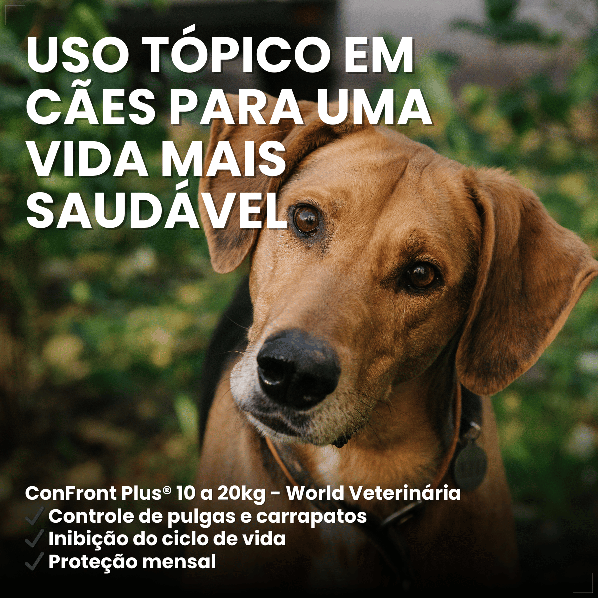 Pipeta Antiparasitária Confront Plus Cães de 10-20kg 1,34mL