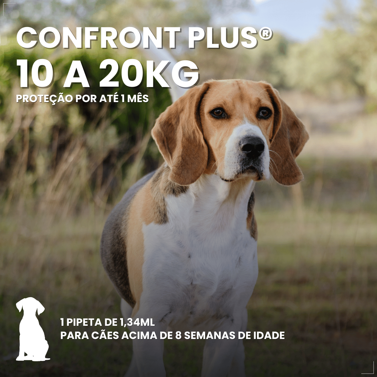Kit 3 Antiparasitária Confront Plus Cão 10-20kg 1,34mL