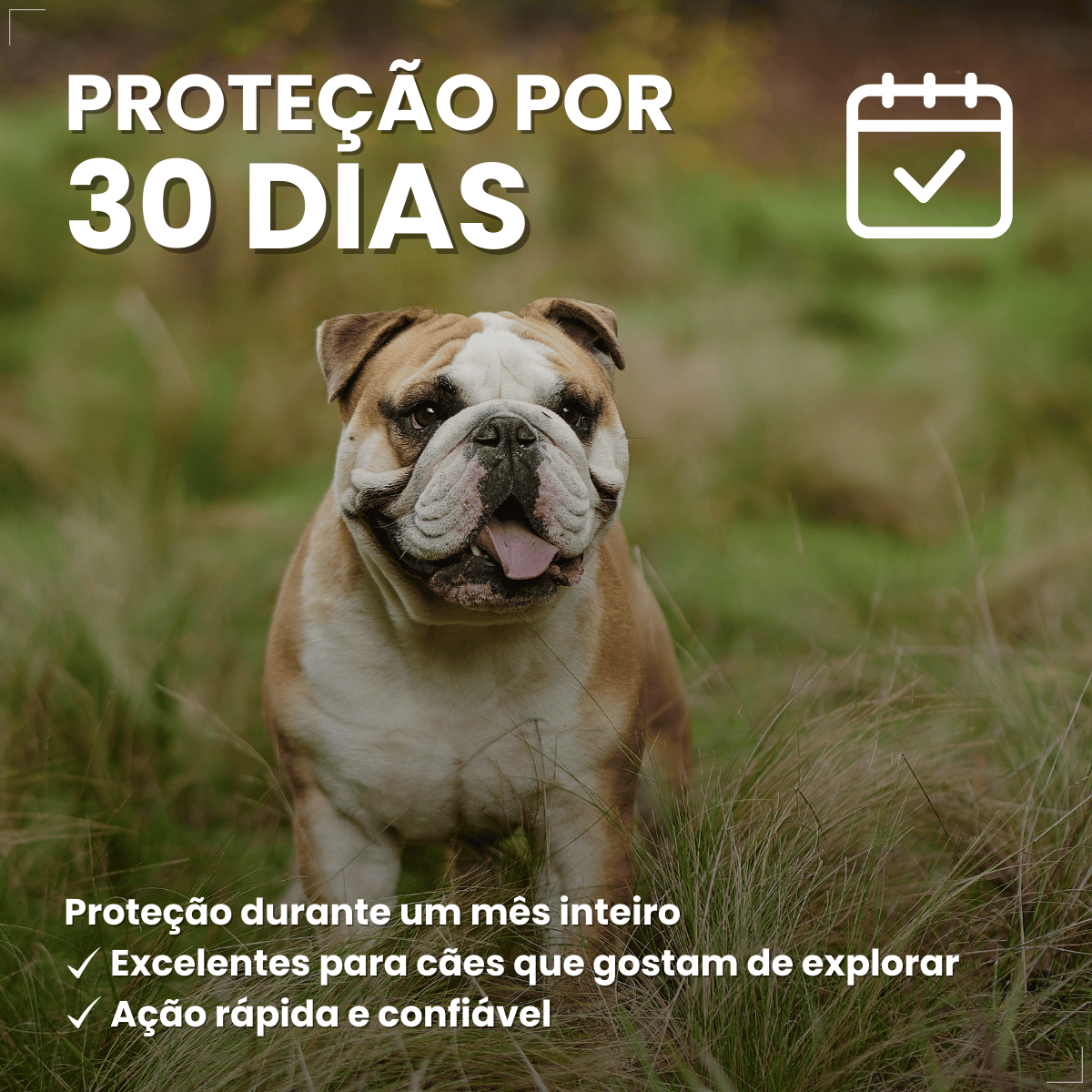 Pipeta Antiparasitária Confront Plus Cães de 10-20kg 1,34mL