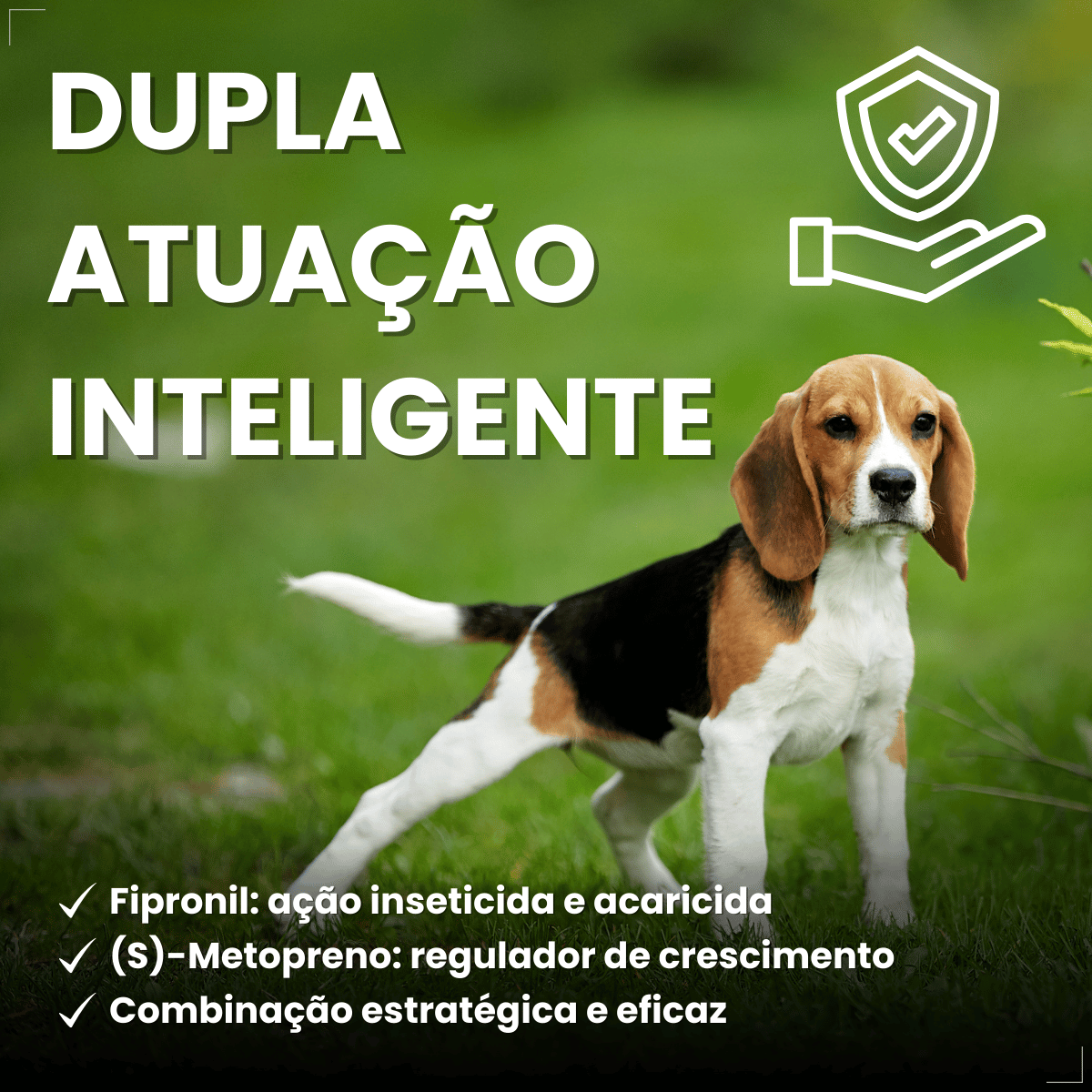 Kit 3 Antiparasitária Confront Plus Cão 10-20kg 1,34mL