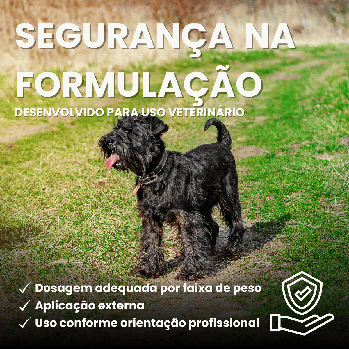 Pipeta Antiparasitária Confront Plus Cães de 10-20kg 1,34mL