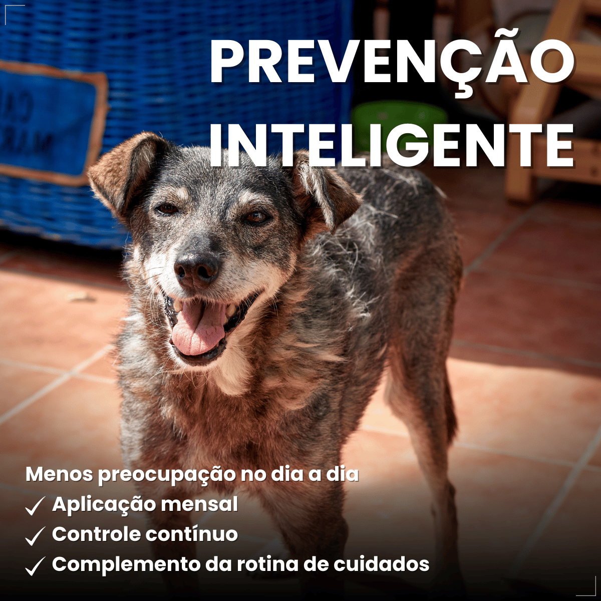 Pipeta Antiparasitária Confront Plus Cães de 10-20kg 1,34mL