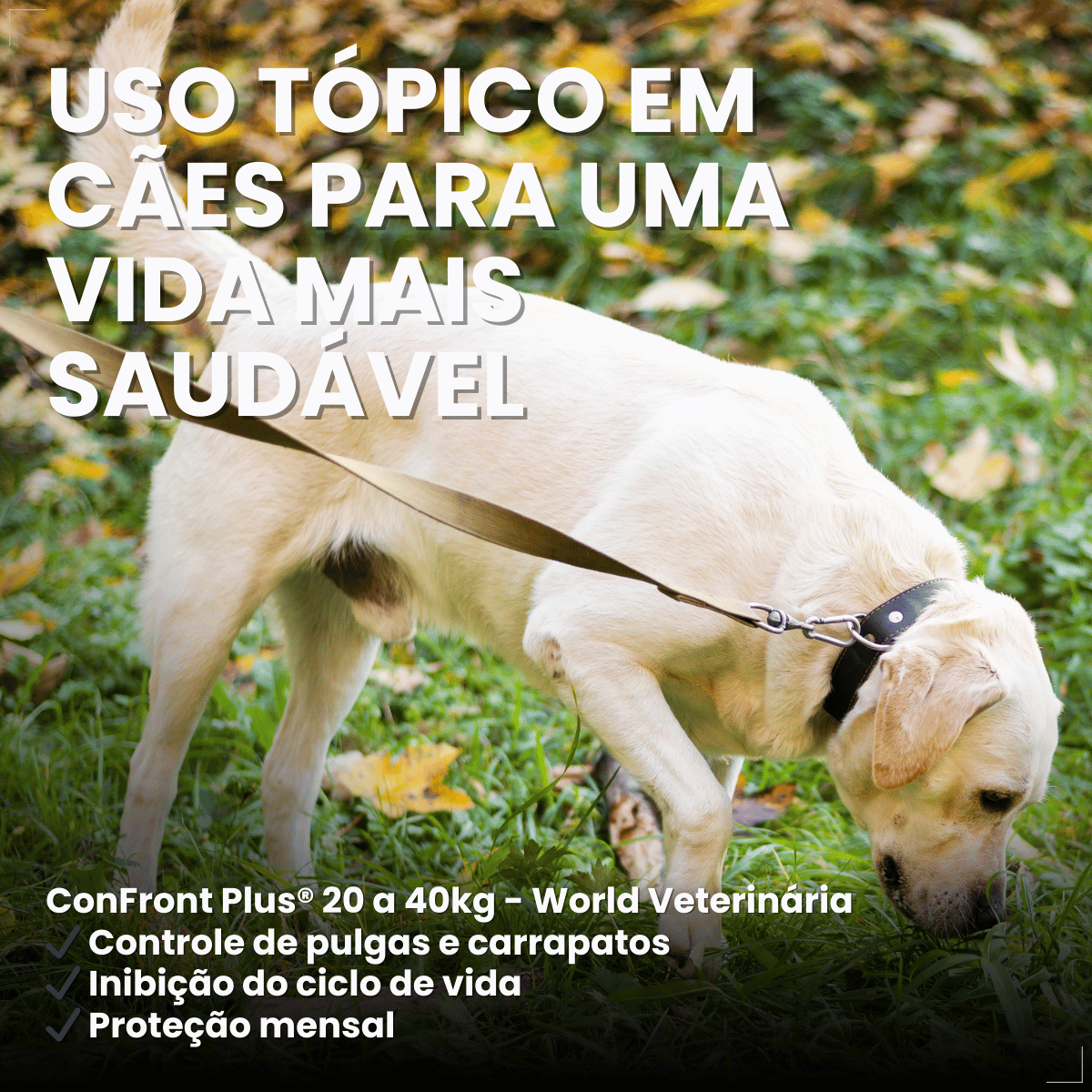 Pipeta Antiparasitária Confront Plus Cães de 20-40kg 2,68mL