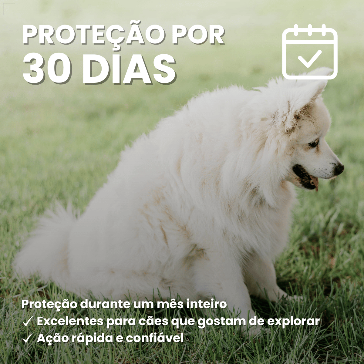Pipeta Antiparasitária Confront Plus Cães de 20-40kg 2,68mL