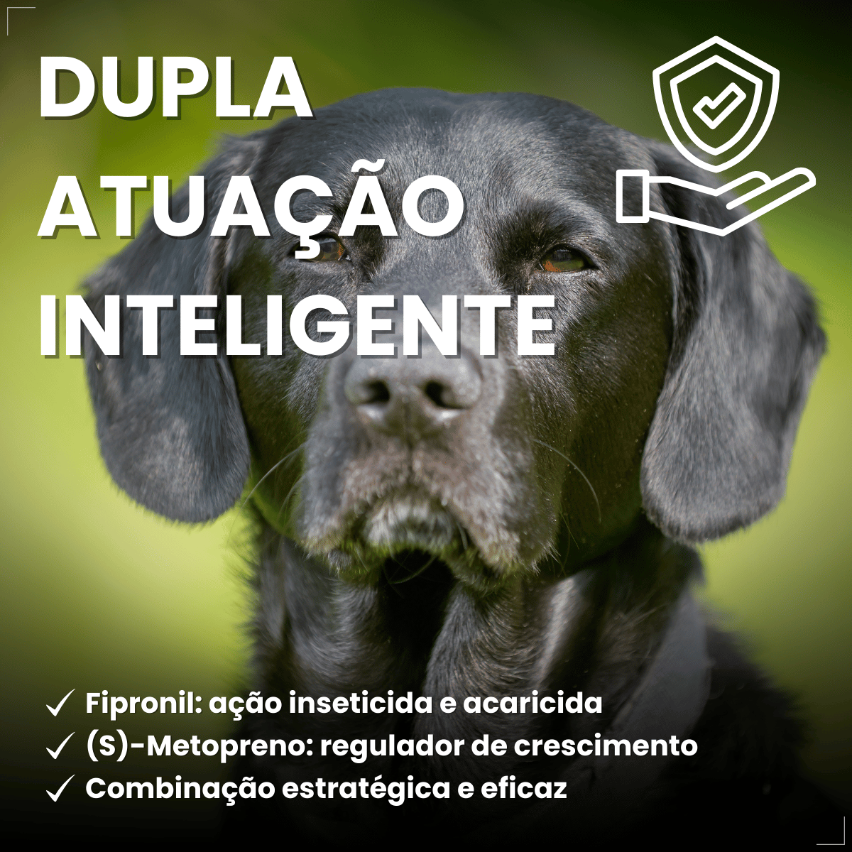 Pipeta Antiparasitária Confront Plus Cães de 20-40kg 2,68mL