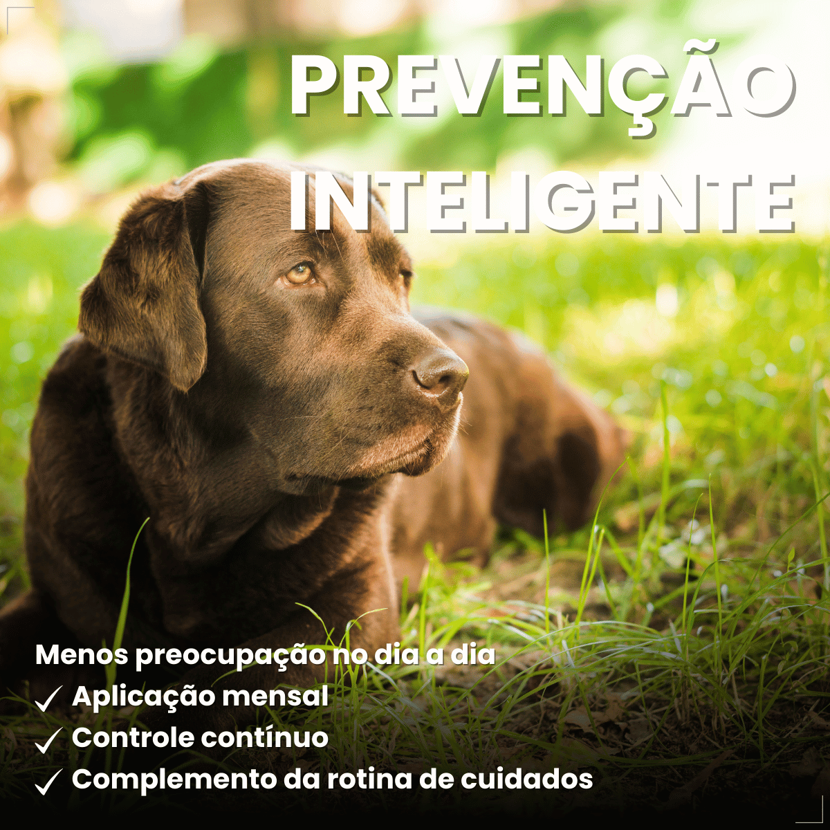 Pipeta Antiparasitária Confront Plus Cães de 20-40kg 2,68mL