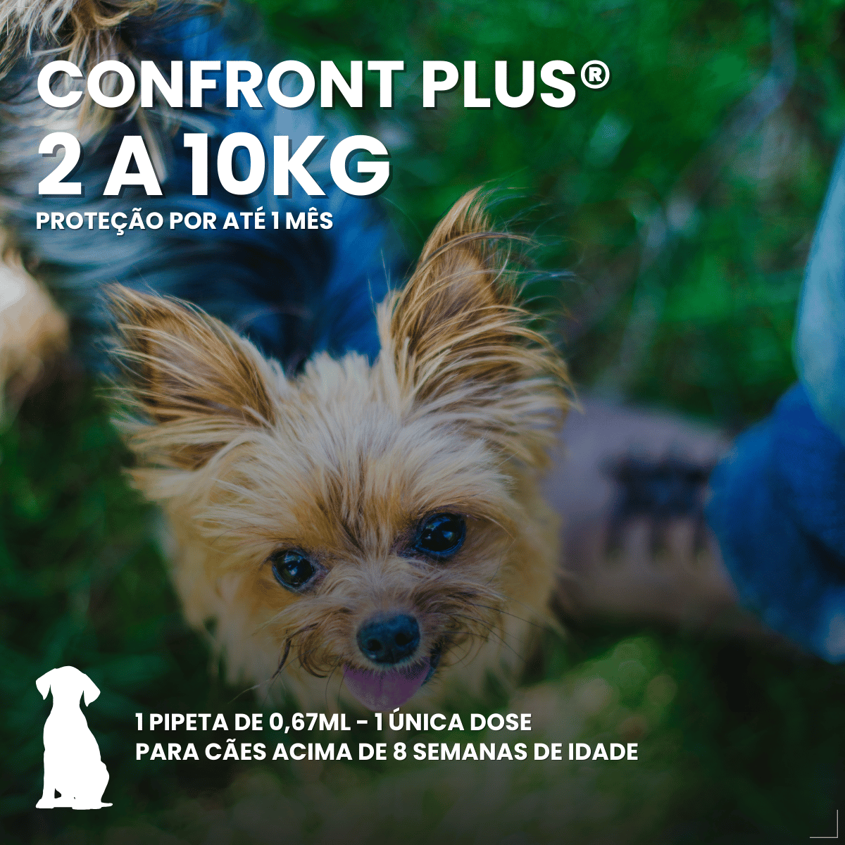 Pipeta Antiparasitária Confront Plus Cães de 02-10kg 0,67mL