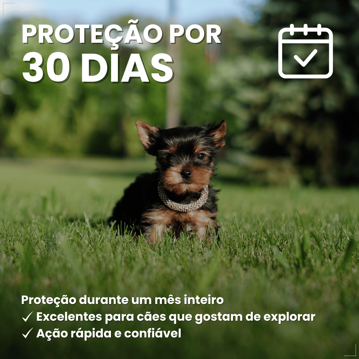 Pipeta Antiparasitária Confront Plus Cães de 02-10kg 0,67mL