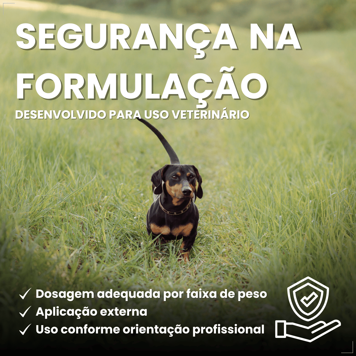 Pipeta Antiparasitária Confront Plus Cães de 02-10kg 0,67mL