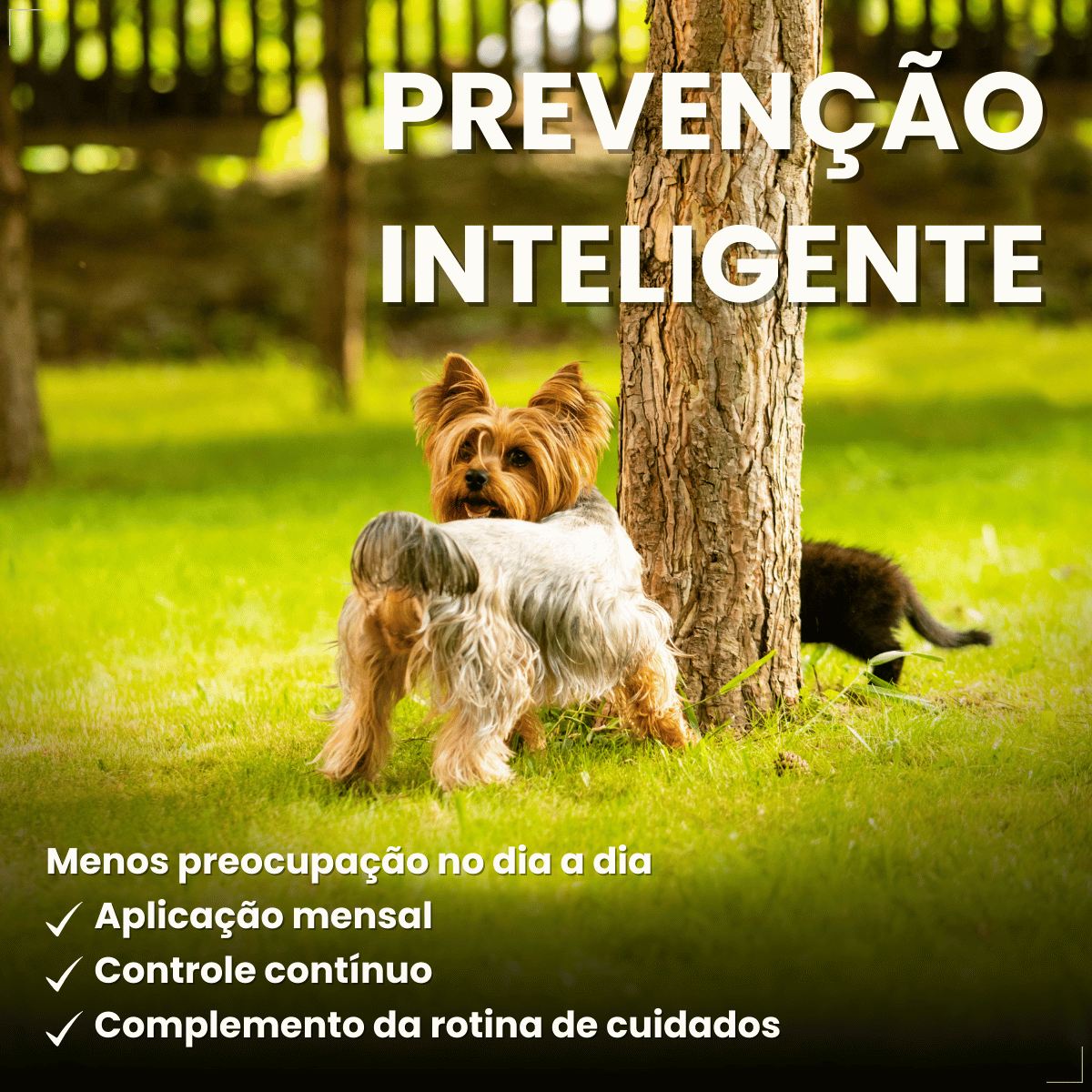 Pipeta Antiparasitária Confront Plus Cães de 02-10kg 0,67mL