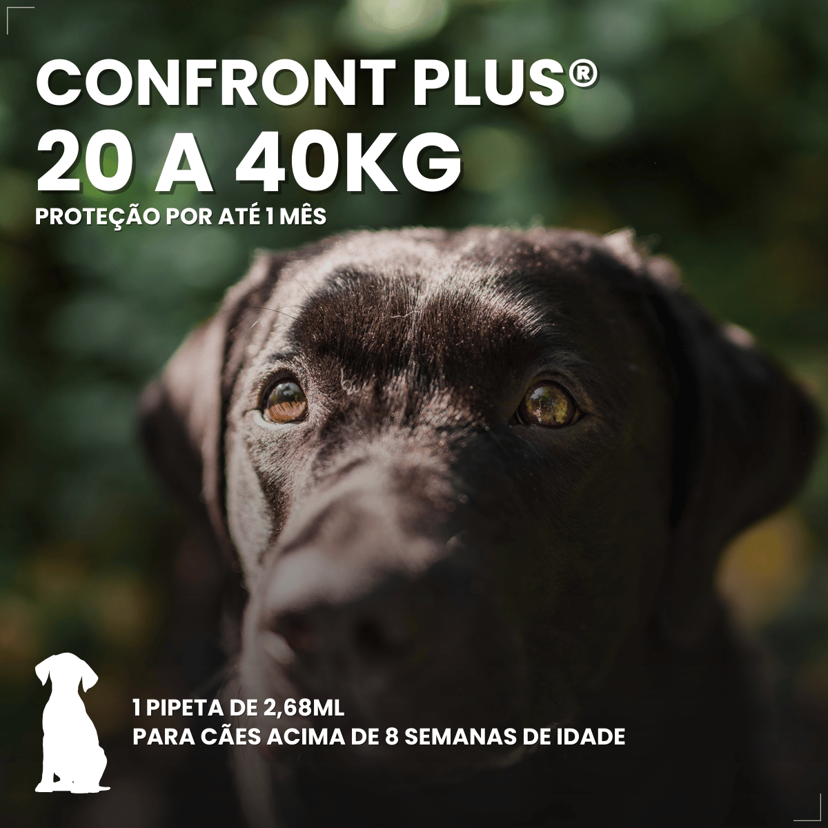 Pipeta Antiparasitária Confront Plus Cães de 20-40kg 2,68mL