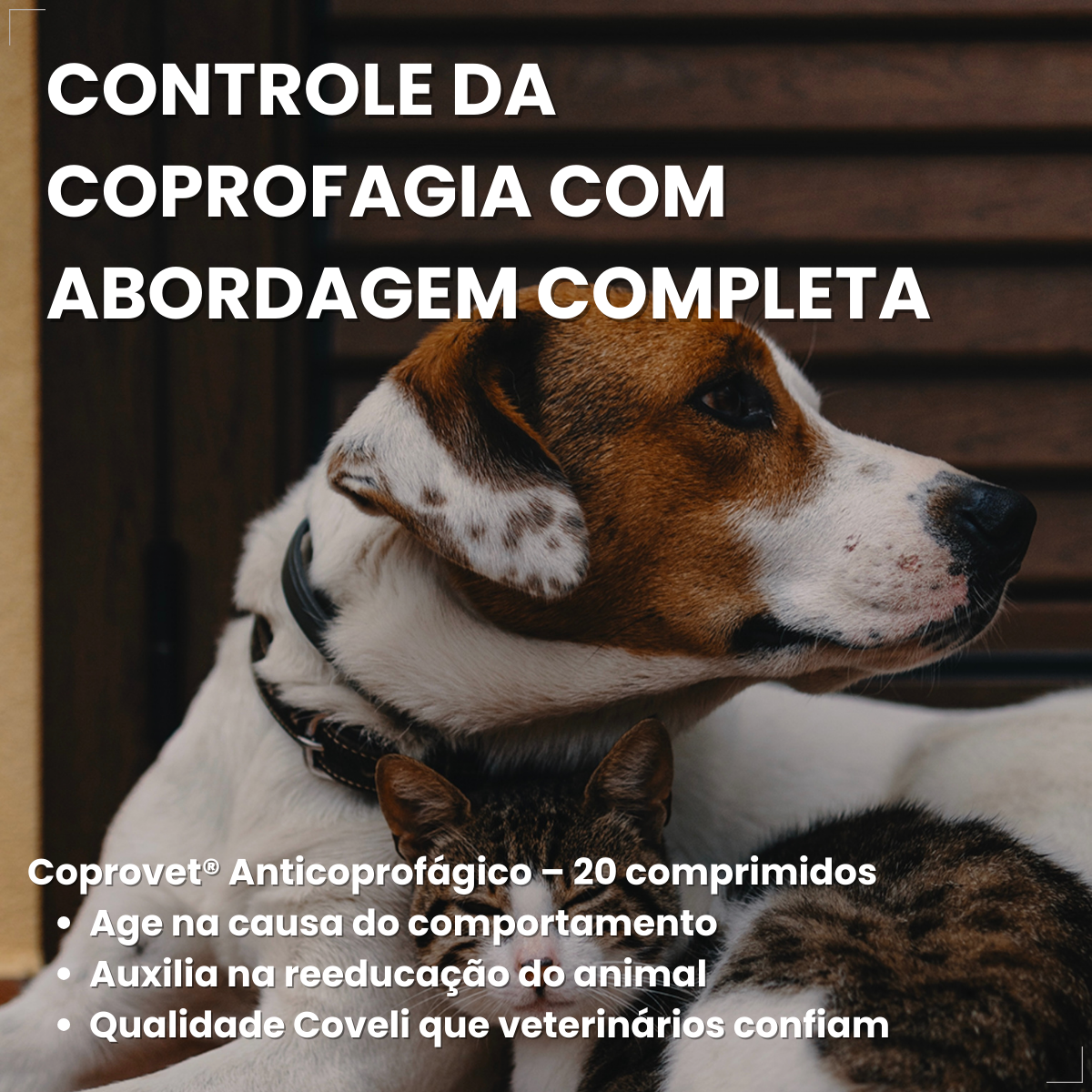 Kit 2 Coprovet Coveli 20 Comp Anticoprofágico Cães e Gatos