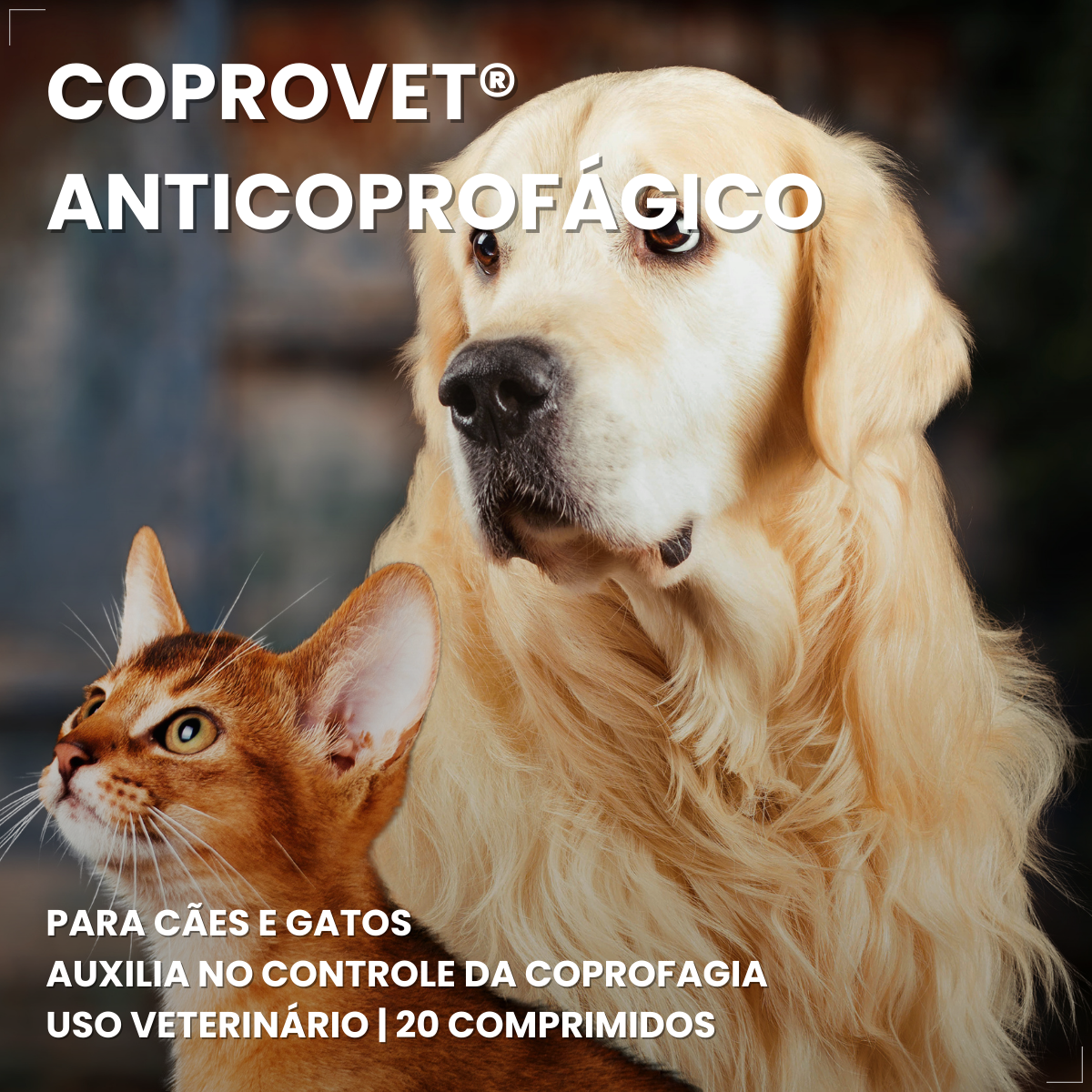 Kit 2 Coprovet Coveli 20 Comp Anticoprofágico Cães e Gatos