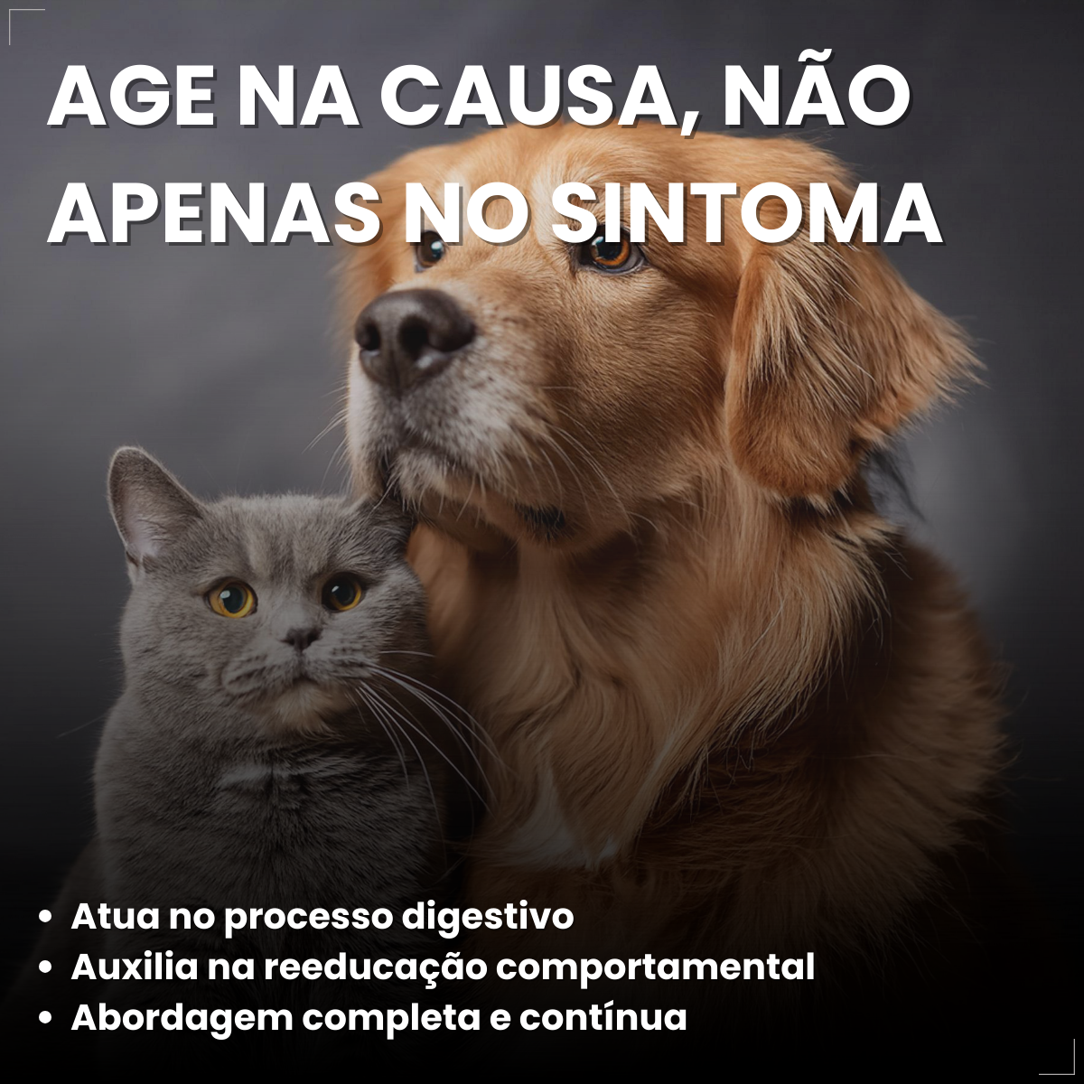 Kit 2 Coprovet Coveli 20 Comp Anticoprofágico Cães e Gatos
