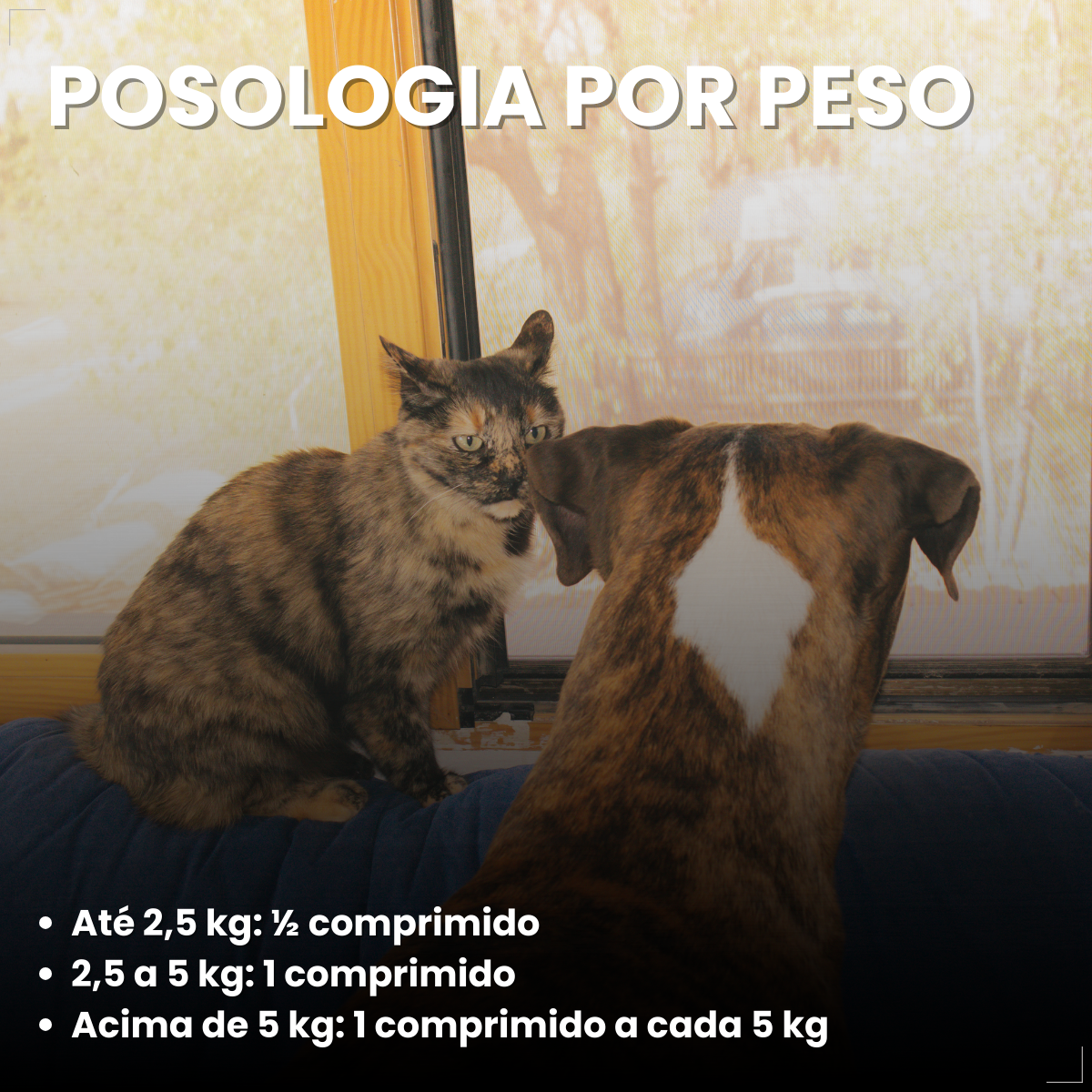 Kit 2 Coprovet Coveli 20 Comp Anticoprofágico Cães e Gatos