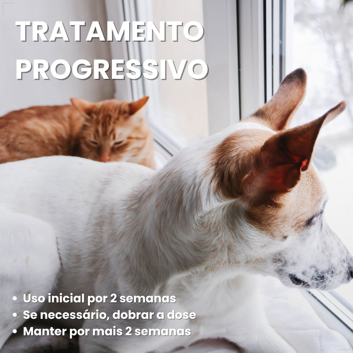 Kit 2 Coprovet Coveli 20 Comp Anticoprofágico Cães e Gatos