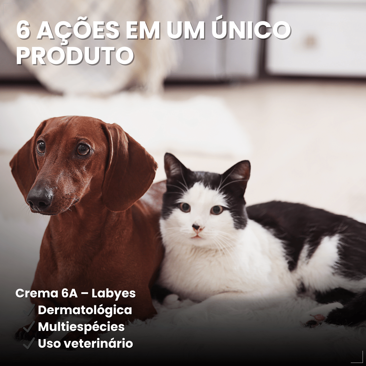 Pomada Dermatológica Crema 6a 15g - Labyes