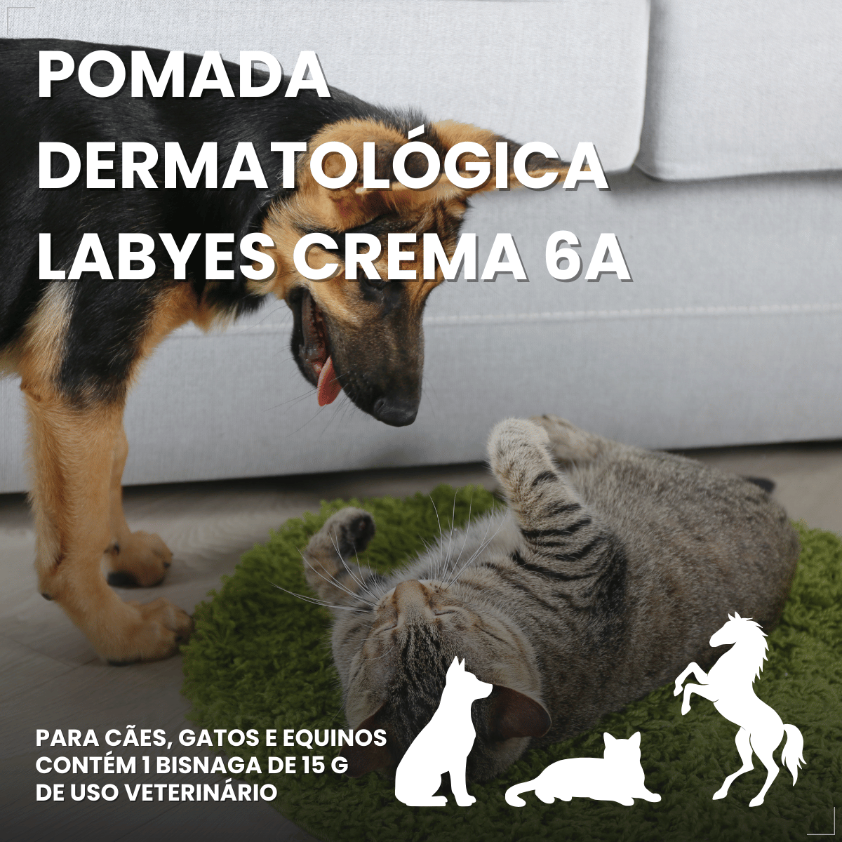 Pomada Dermatológica Crema 6a 15g - Labyes