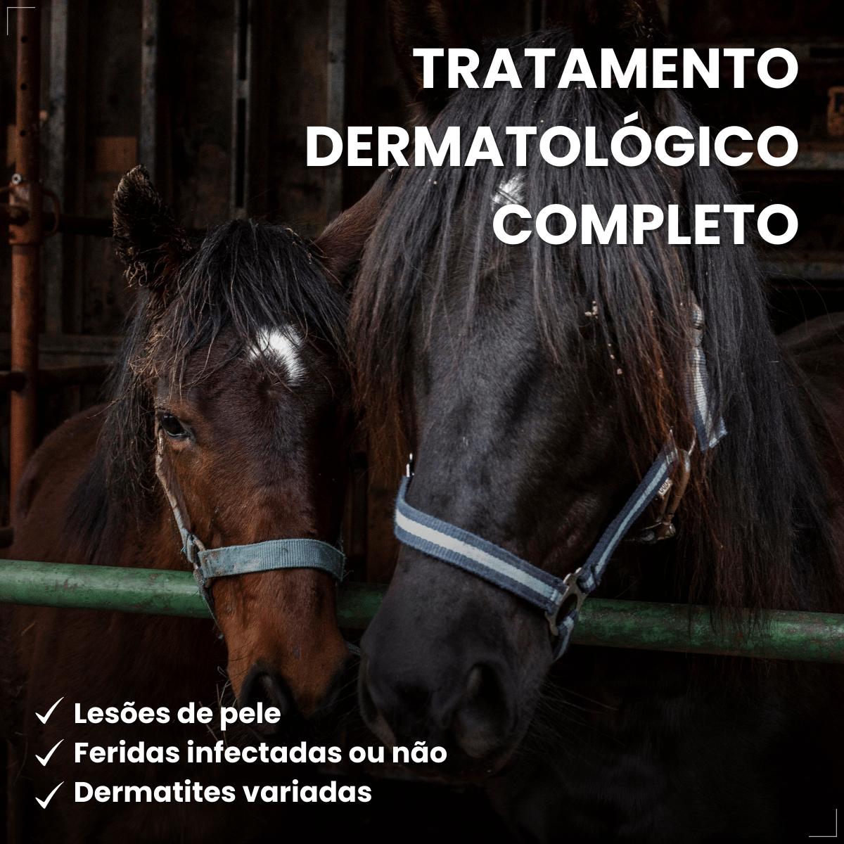 Pomada Dermatológica Crema 6a 15g - Labyes