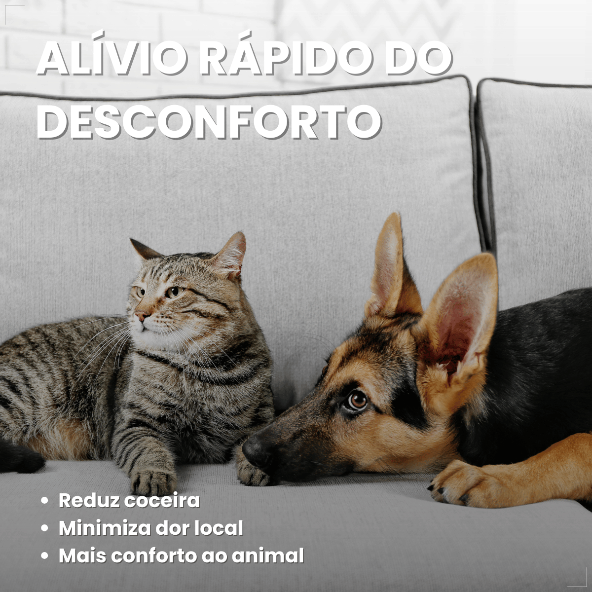 Pomada Dermatológica Crema 6a 15g - Labyes