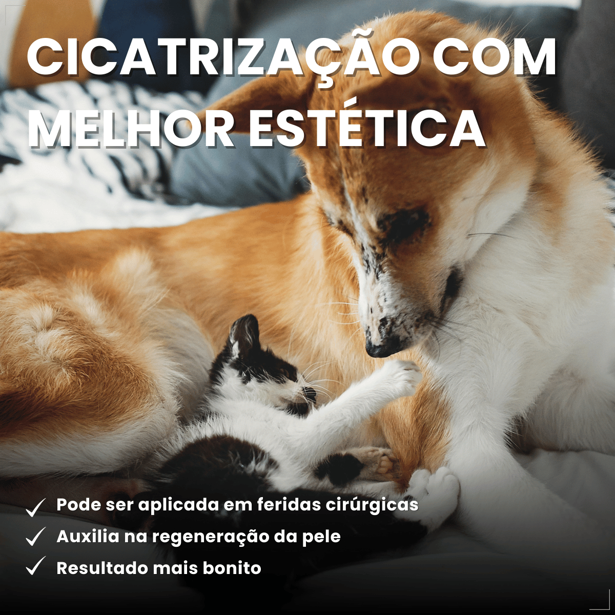Pomada Dermatológica Crema 6a 15g - Labyes