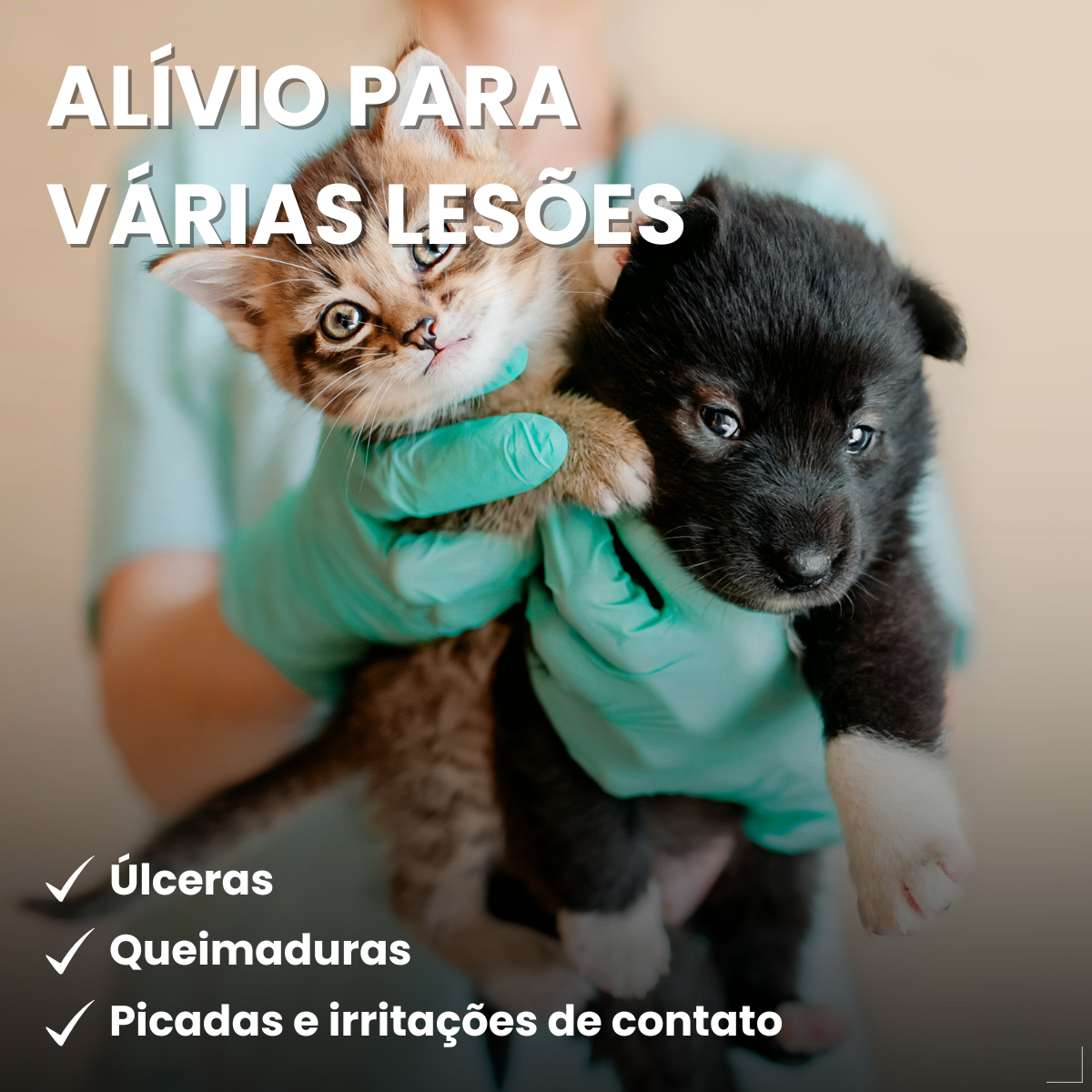 kIT 3 Dermotrat aerosol antibacteriano anti-inflamatório 75g 110ml