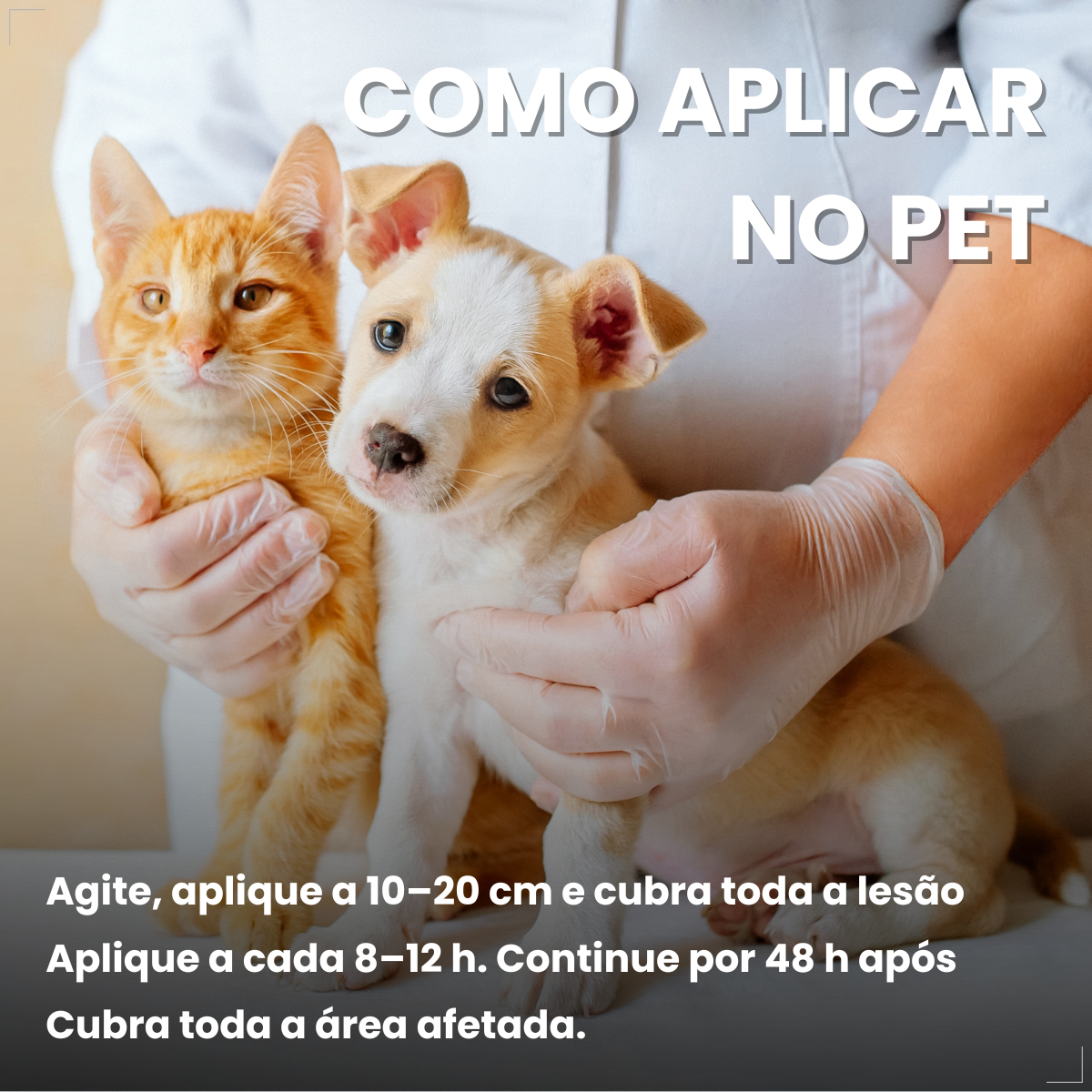 kIT 3 Dermotrat aerosol antibacteriano anti-inflamatório 75g 110ml