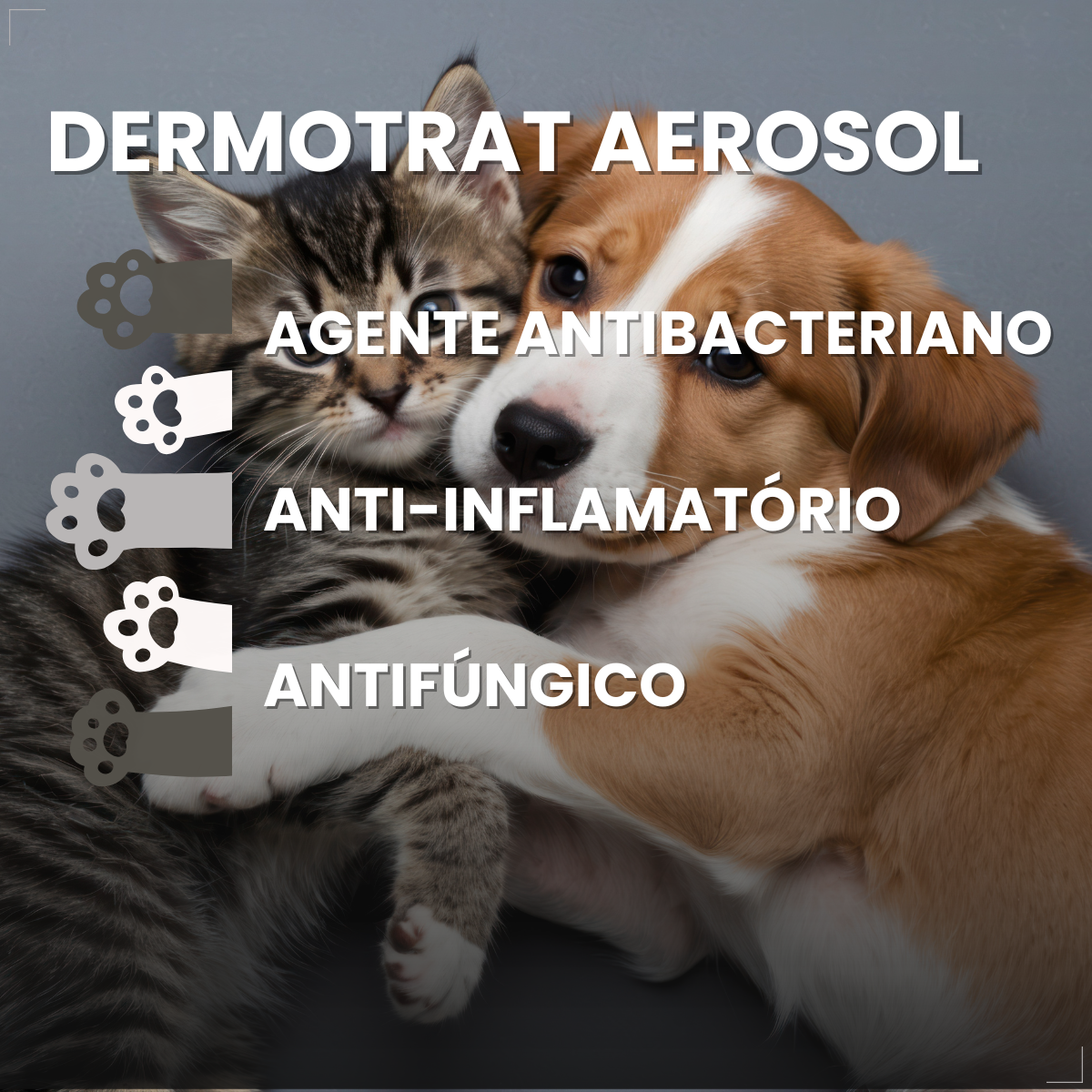 kIT 3 Dermotrat aerosol antibacteriano anti-inflamatório 75g 110ml