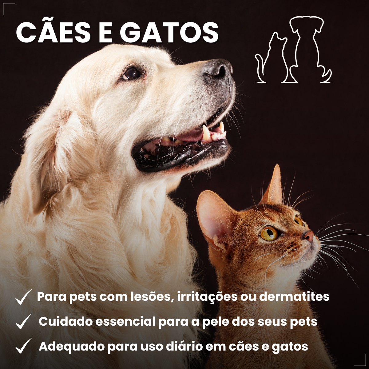 kIT 3 Dermotrat aerosol antibacteriano anti-inflamatório 75g 110ml