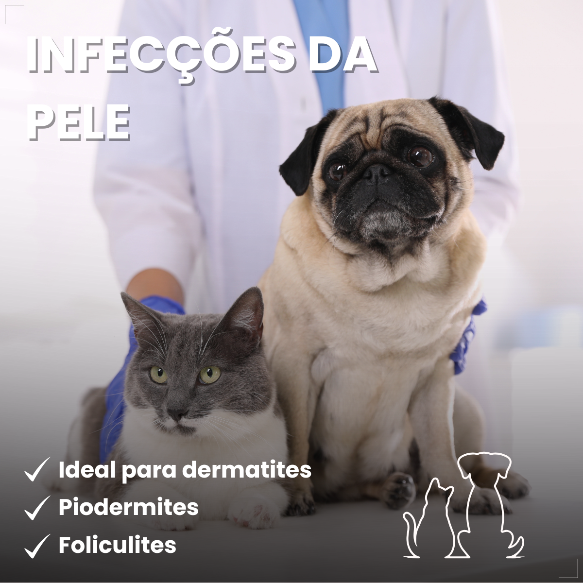 kIT 3 Dermotrat aerosol antibacteriano anti-inflamatório 75g 110ml