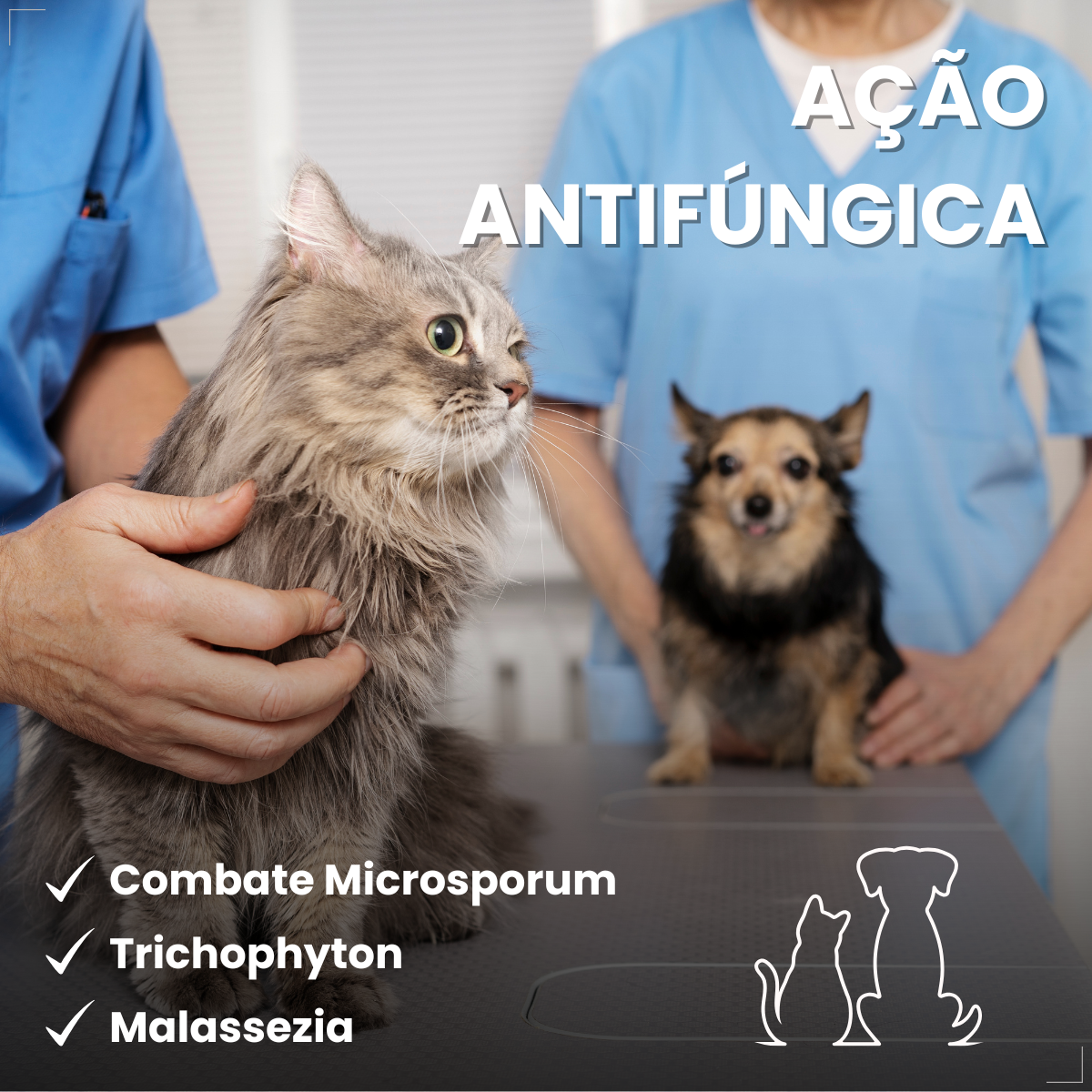 kIT 3 Dermotrat aerosol antibacteriano anti-inflamatório 75g 110ml