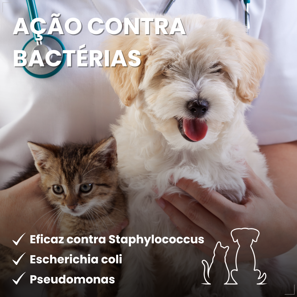 kIT 3 Dermotrat aerosol antibacteriano anti-inflamatório 75g 110ml