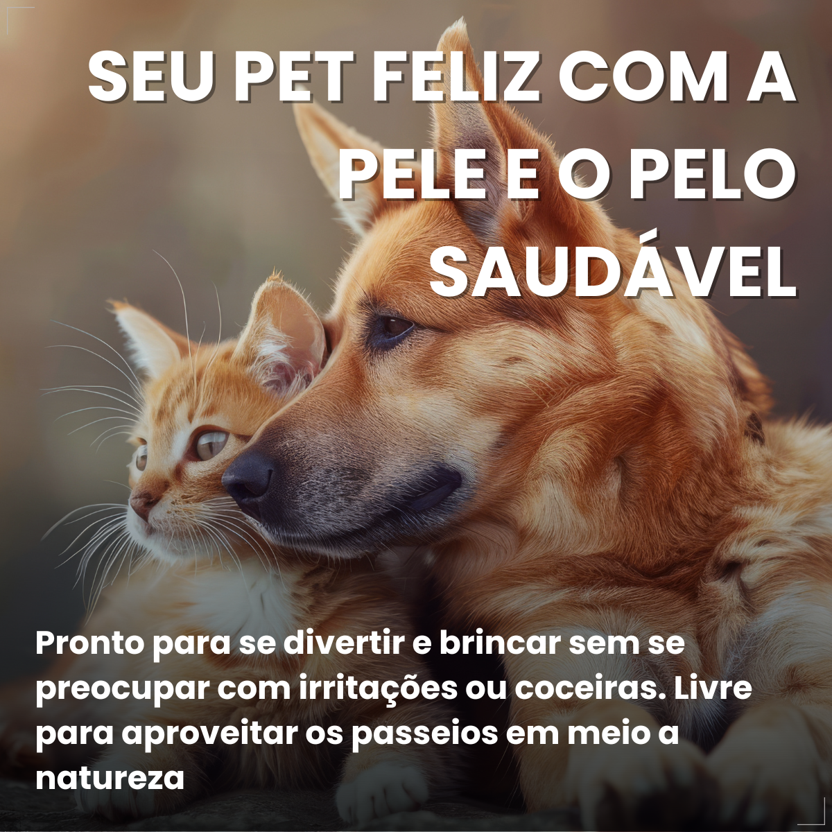 Creme Dermatológico Dermotrat Cães e Gatos Pomada 20g