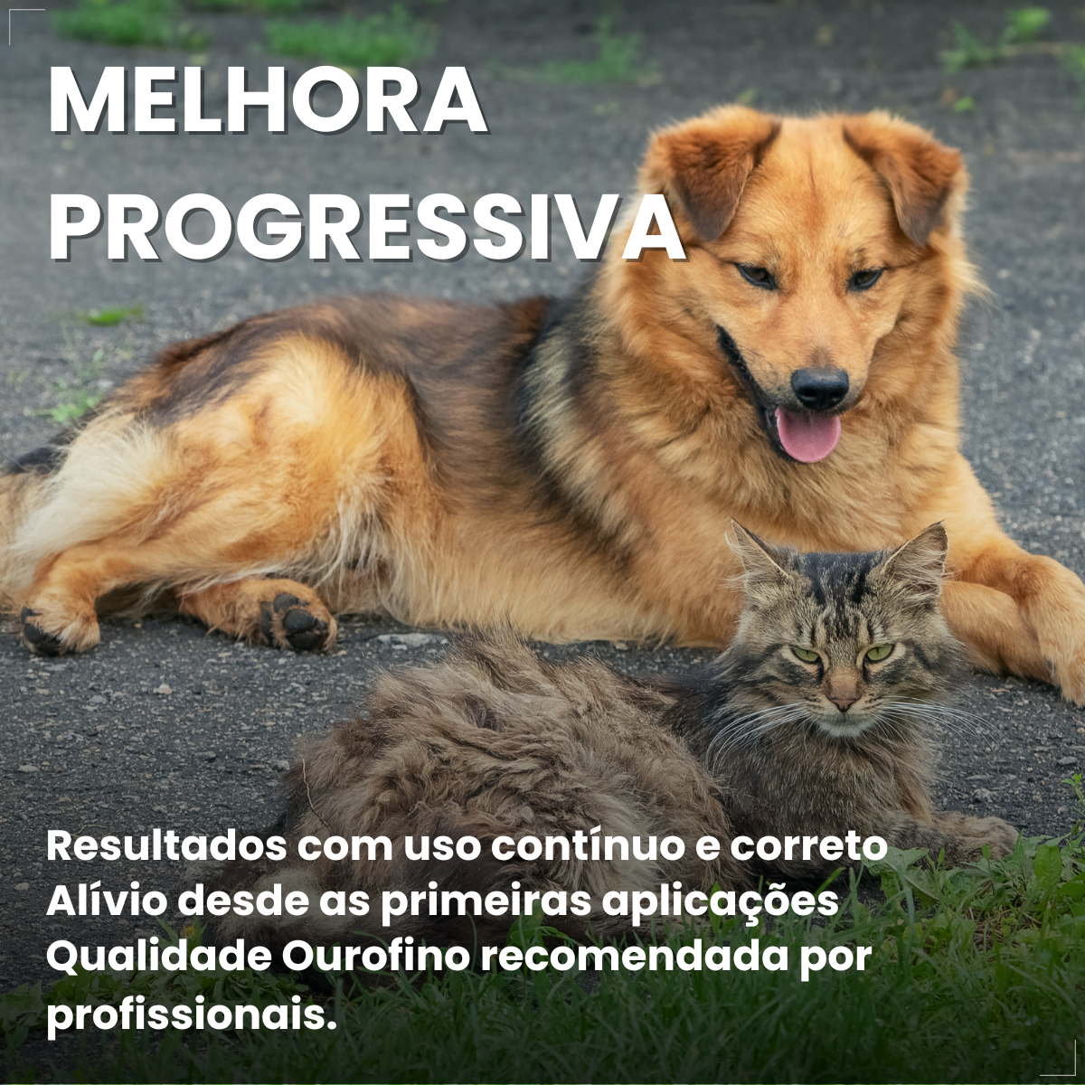 Creme Dermatológico Dermotrat Cães e Gatos Pomada 20g