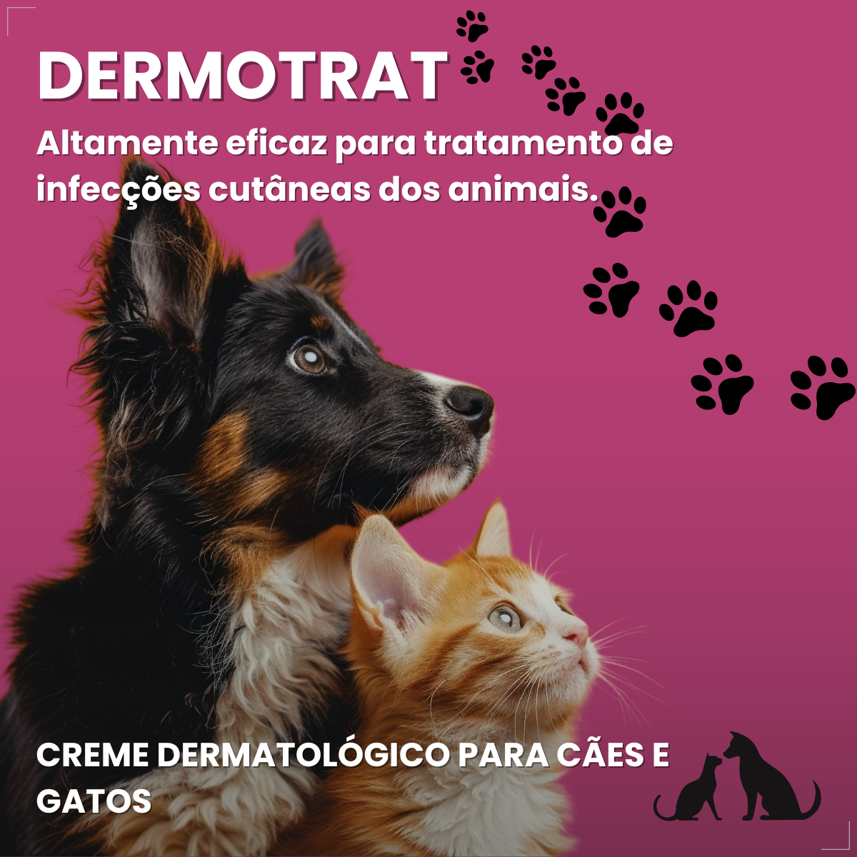 Creme Dermatológico Dermotrat Cães e Gatos Pomada 20g