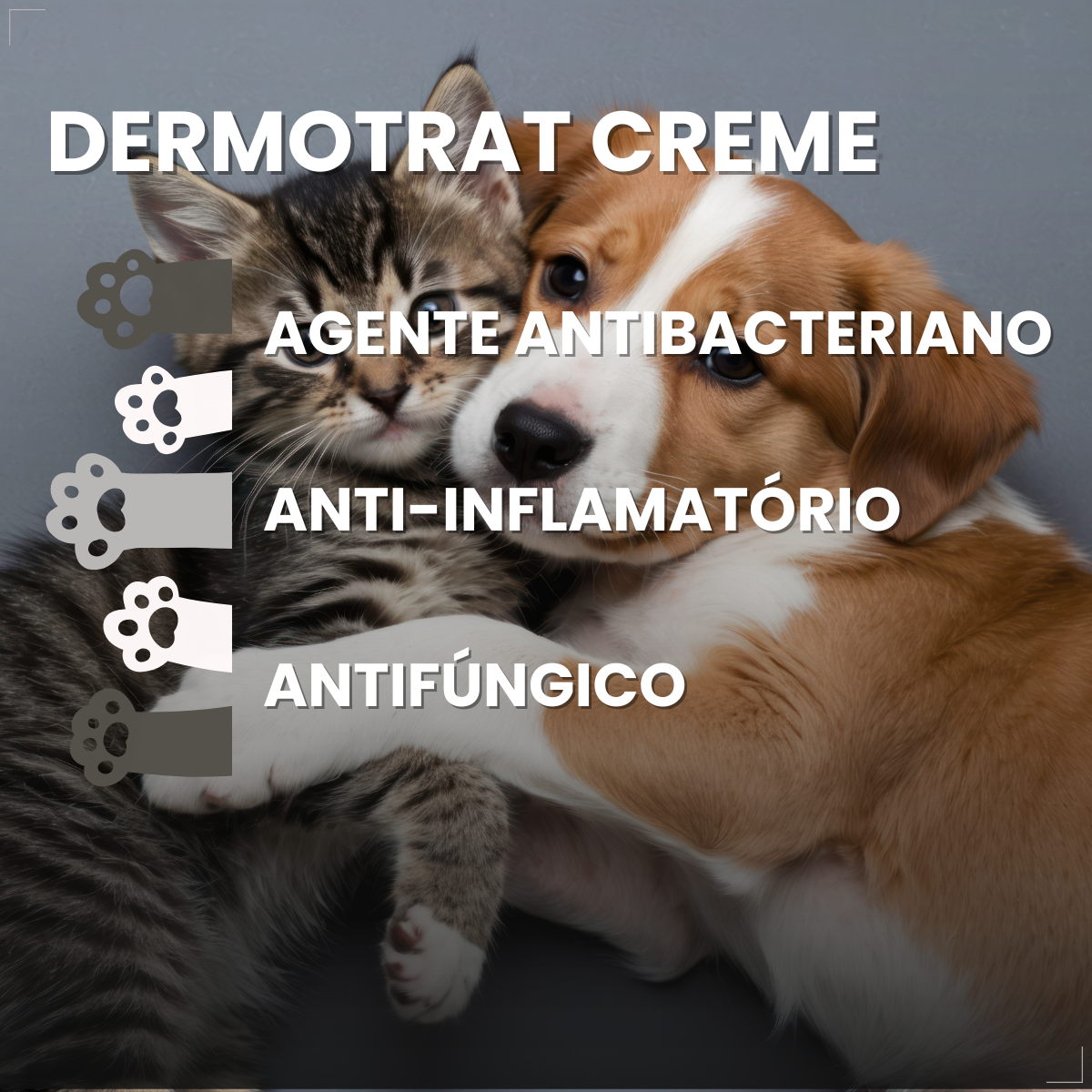 Creme Dermatológico Dermotrat Cães e Gatos Pomada 20g