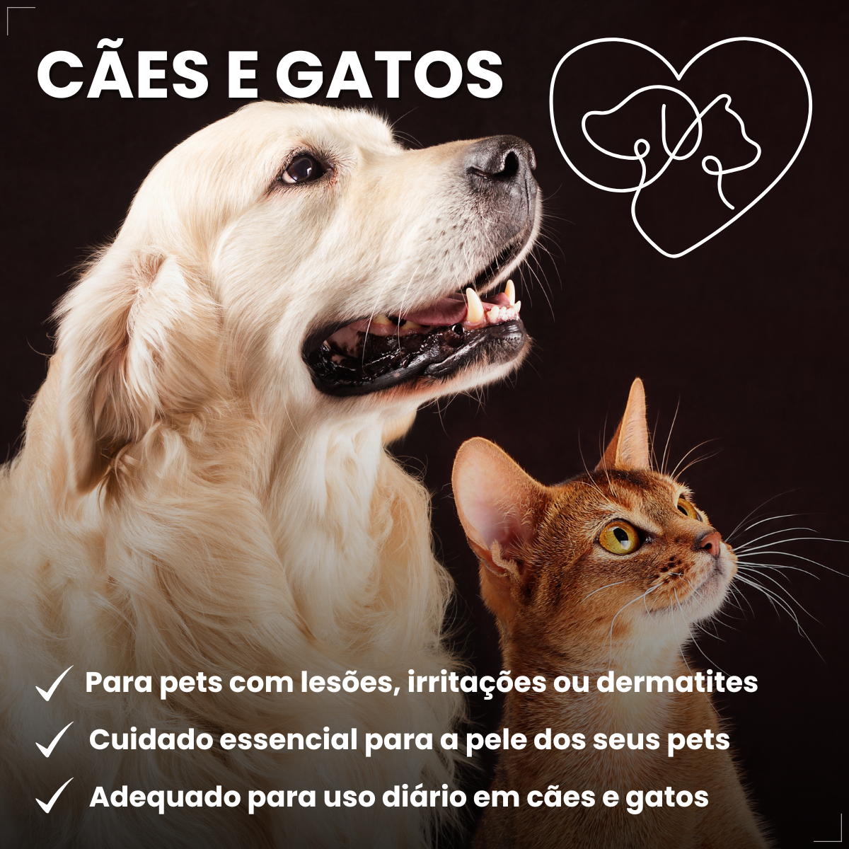 Creme Dermatológico Dermotrat Cães e Gatos Pomada 20g